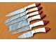 Custom Handmade Damascus Steel Fixed Blade Kitchen Chef Knife Set, 6 PIECE CHEF SET, Camel Bone and Micarta Handle