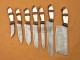 Custom Handmade Damascus Steel Fixed Blade Kitchen Chef Knife Set, 7 PIECE CHEF SET, Camel Bone and Olive Wood Handle