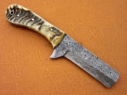 Damascus Steel Ram Horn / Bull Cutter  Hunting Knife, 8" Ram Horn Handle, Fixed Blade