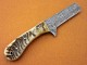 Damascus Steel Ram Horn / Bull Cutter  Hunting Knife, 8" Ram Horn Handle, Fixed Blade