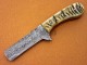 Damascus Steel Ram Horn / Bull Cutter  Hunting Knife, 8" Ram Horn Handle, Fixed Blade