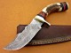 Damascus Deer Antler Hunting Knife, Brass Clip, 9" Deer Antler Handle, Fixed Blade