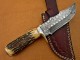 Damascus Deer Antler Hunting Knife, Brass Clip, 9" Deer Antler Handle, Fixed Blade