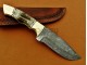 Damascus Deer Antler Hunting Knife, Brass Bolster, 9" Deer Antler Handle, Fixed Blade, Full Tang
