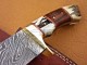 Damascus Deer Antler Hunting Knife, Brass Clip, 9" Deer Antler, Wood Handle, Fixed Blade