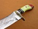 Damascus  Hunting Knife, Brass Clip, 10" Black Sheet, Green Color Bone, Red & Black Fiber Handle, Fixed Blade
