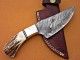 Damascus Hunting Knife, Damascus Steel Classic Bowie Knife, 9" Brass Bolster, Deer Antler Handle, Fixed Blade, Full Tang