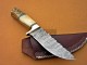 Damascus Hunting Knife, Damascus Steel Classic Bowie Knife, 9" Brass Bolster Camel Bone, Goat/Ram Horn Handle, Fixed Blade, Full Tang