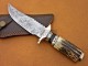 Damascus Steel Deer Antler Hunting Knife, Brass Bolster, 9" Deer Antler Handle, Fixed Blade