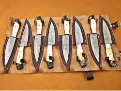 8 piece Custom Handmade Damascus Steel Fixed Blade Kitchen Steak Knives Set camel bone, buffalo horn handle