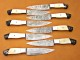 8 piece Custom Handmade Damascus Steel Fixed Blade Kitchen Steak Knives Set camel bone, buffalo horn handle