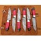 6 piece Custom Handmade Damascus Steel Fixed Blade Kitchen Steak Knives Set, Red Micarta & Buffalo Horn Handle