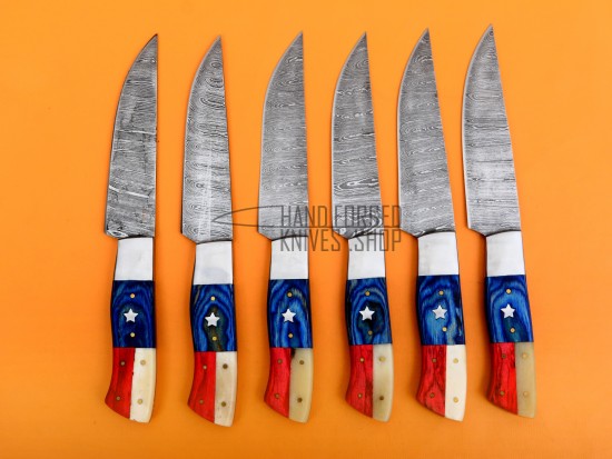6 piece Custom Handmade Damascus Steel Fixed Blade Kitchen Steak Knives Set, Blue Micarta, Red Sheet, Camel Bone